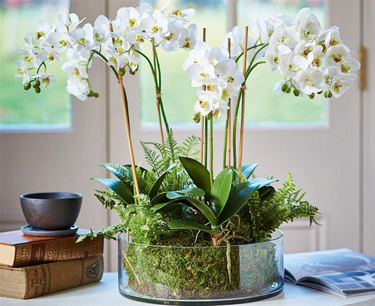 Organic Style Orchids
