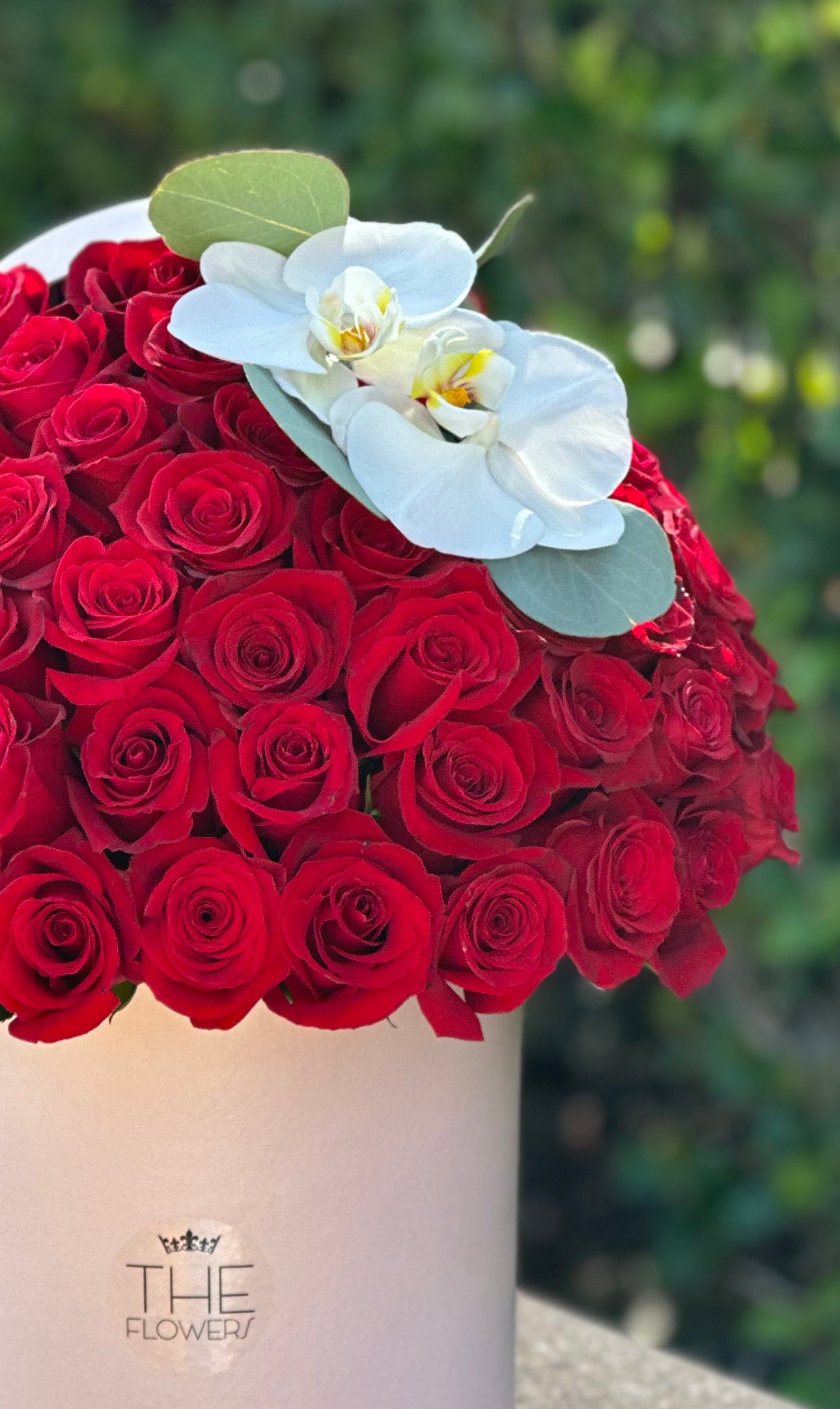 Red Roses Delight