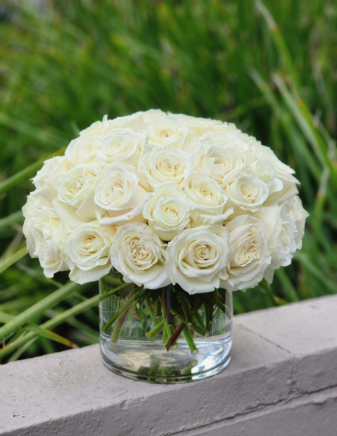 White Roses
