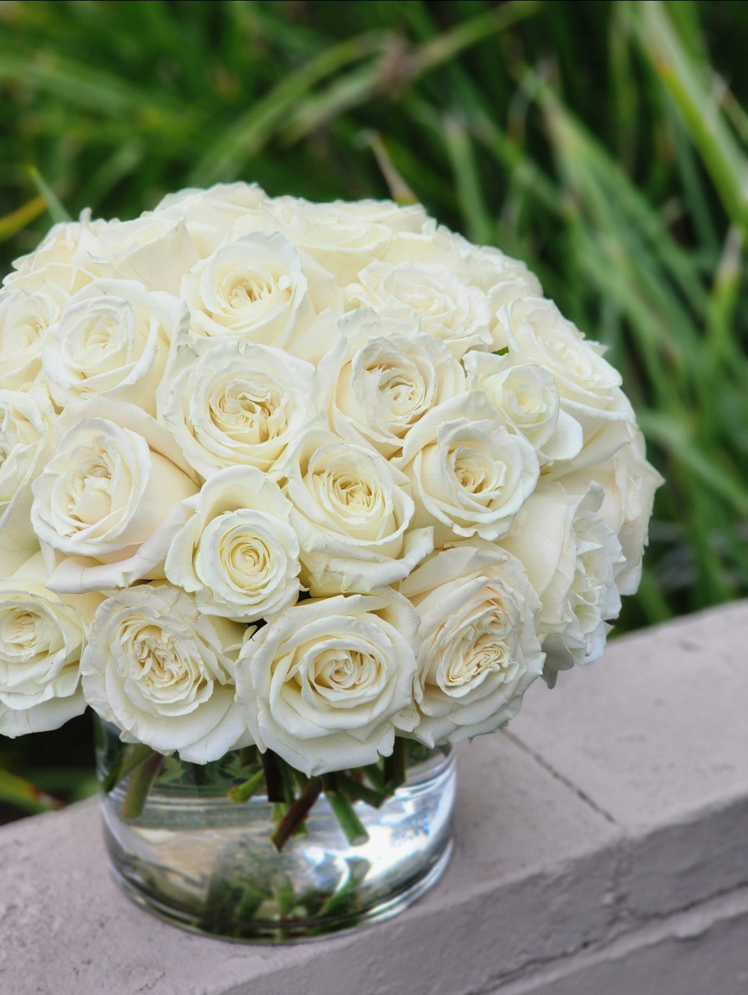White Roses